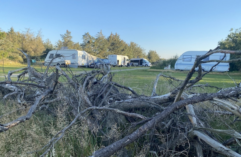 Camping bei Blokhus mitten in der Natur