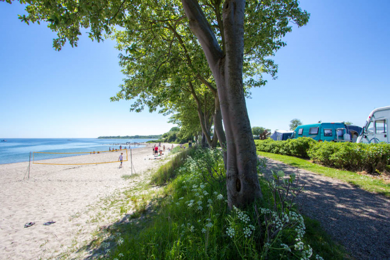 Gammelbro Camping ist ein ruhiger und attraktiver Campingplatz. Wir bieten Aktivitäten für Groß und Klein, und die Lage direkt am Kleinen Belt eröffnet eine Fülle von Möglichkeiten.