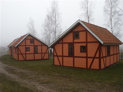 Nahe am See und Schafe